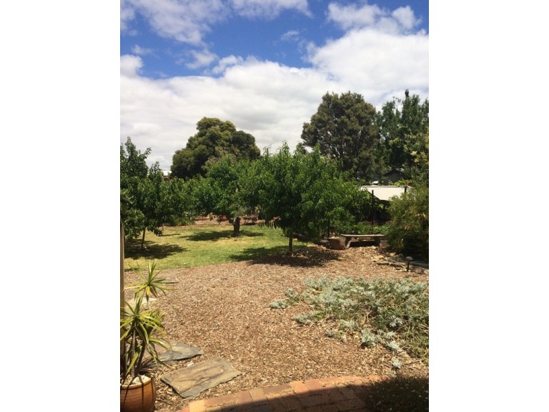 12 Coral Avenue, Port Willunga SA 5173