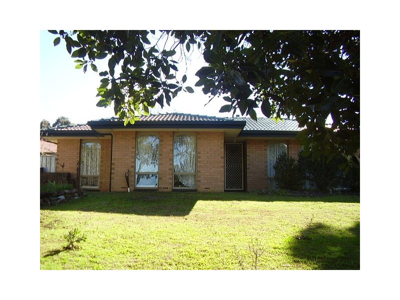 33 Riordan Street, Morphett Vale SA 5162