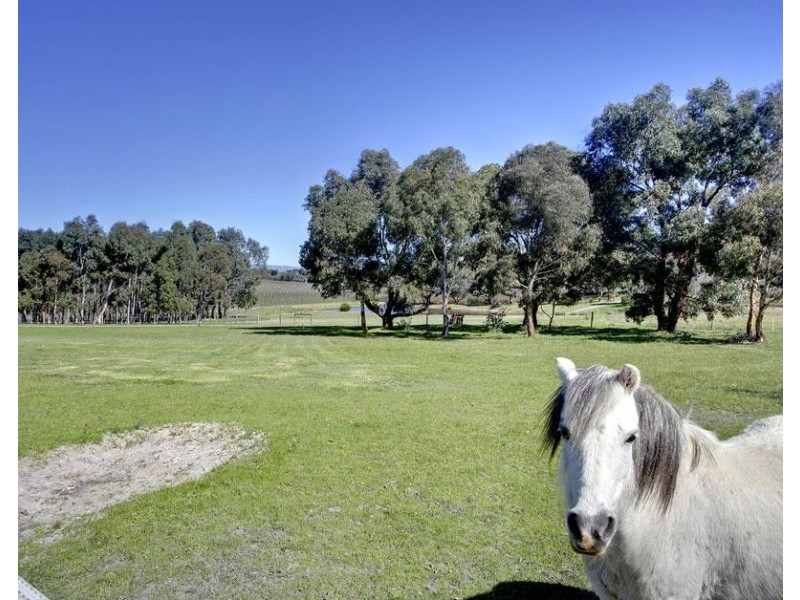 113a Adams Road, Blewitt Springs SA 5171