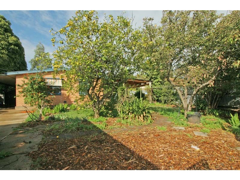 17 Christopher Road, Christie Downs SA 5164