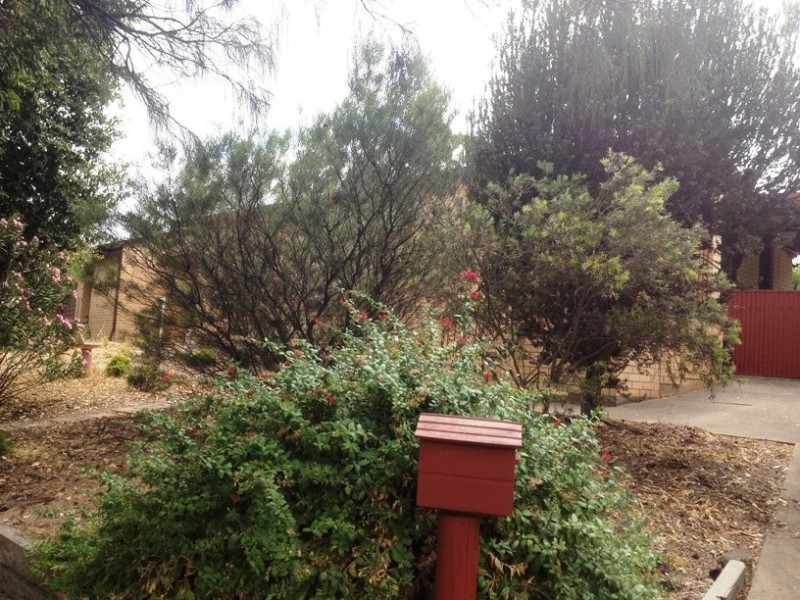 17 Owen Court, Christie Downs SA 5164