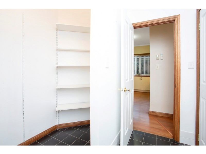 17 Periwinkle Drive, Aldinga Beach SA 5173