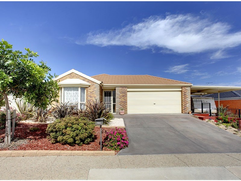 8 Shirvington Way, Noarlunga Downs SA 5168