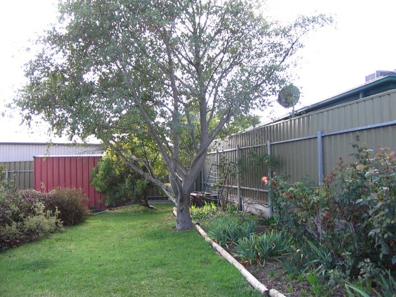 1 Oakhill Crescent, Morphett Vale SA 5162