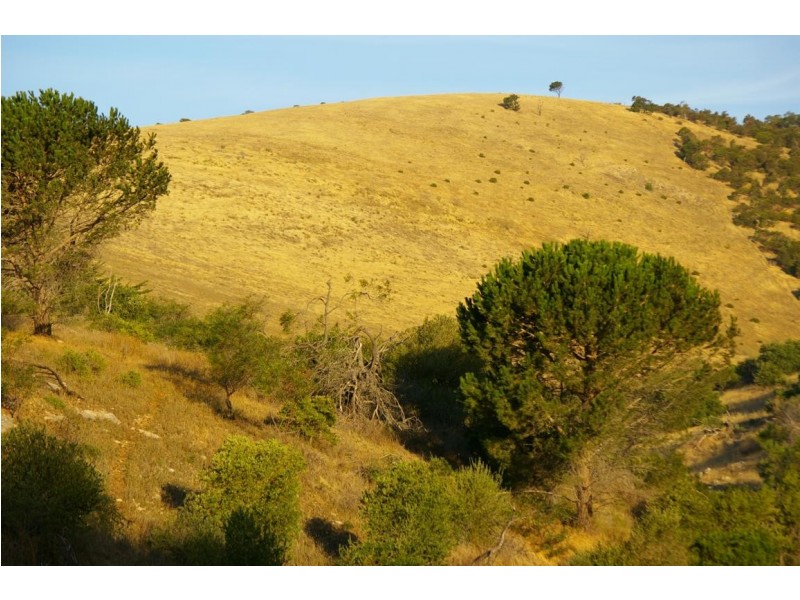 Lot 272 Old Sellicks Hill Road, Sellicks Hill SA 5174