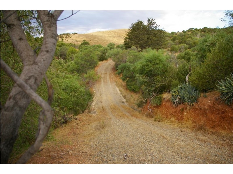 Lot 272 Old Sellicks Hill Road, Sellicks Hill SA 5174