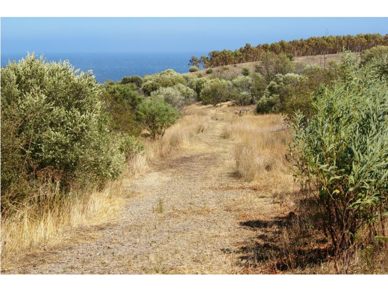 Lot 272 Old Sellicks Hill Road, Sellicks Hill SA 5174