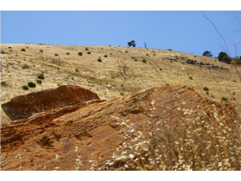 Lot 272 Old Sellicks Hill Road, Sellicks Hill SA 5174