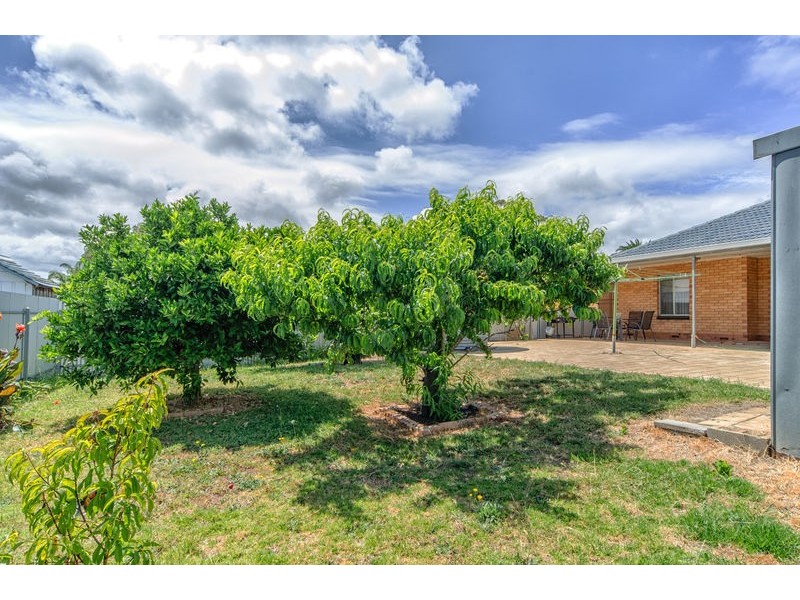 19 Graham Avenue, Hackham SA 5163