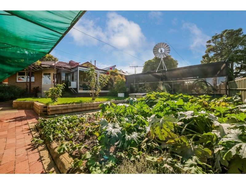 8 Diamond Street, Morphett Vale SA 5162