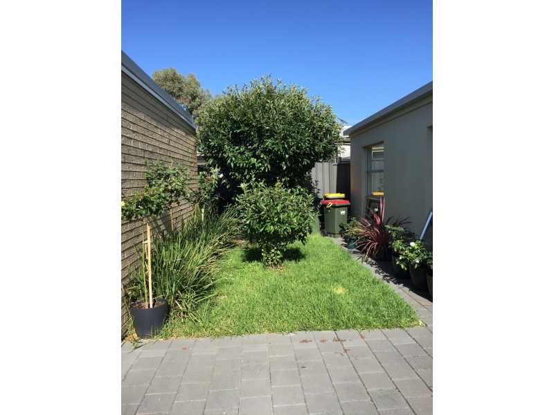 3 48 MOORINGE AVENUE, North Plympton SA 5037