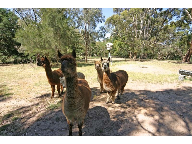 Lot 11/28 Piggott Range Road, Chandlers Hill SA 5159