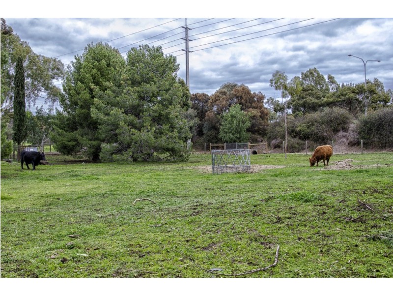 3 Harriet Street, Woodcroft SA 5162