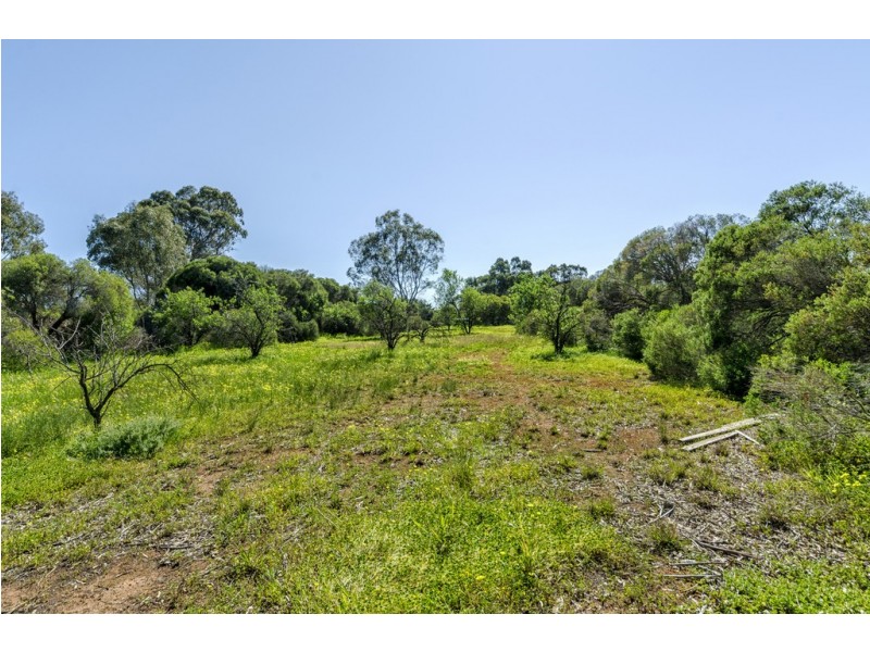 102 ELWOOD ROAD, Macdonald Park SA 5121