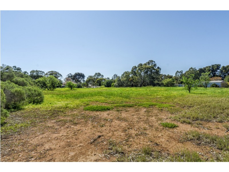 102 ELWOOD ROAD, Macdonald Park SA 5121