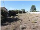 11 Egerton Street, Blanchetown SA 5357