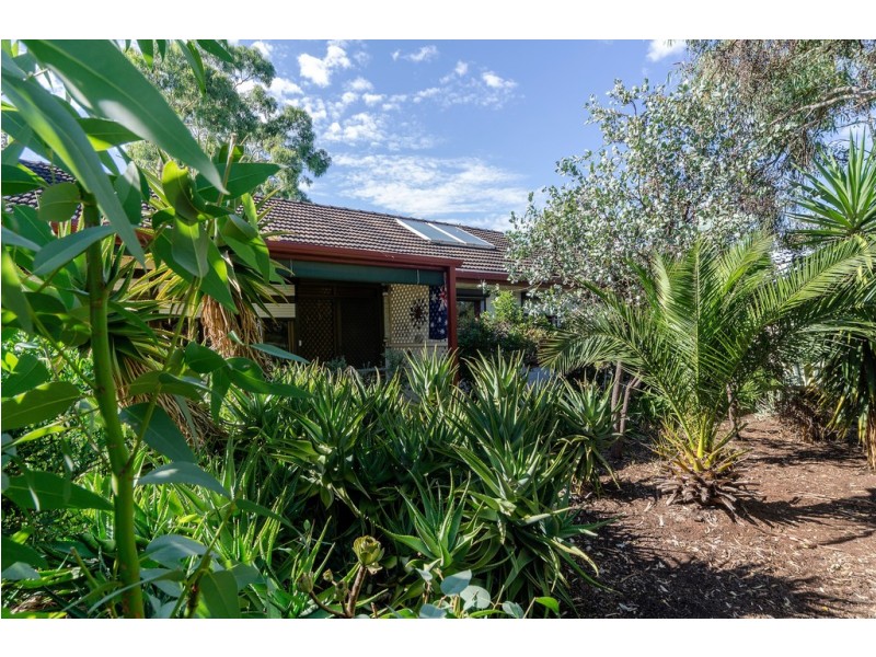 98 Yorktown Road, Elizabeth Park SA 5113