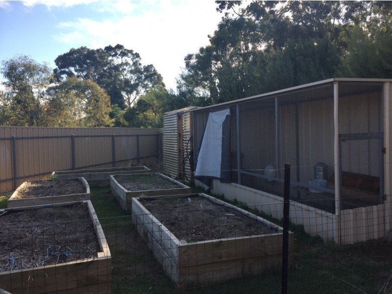3 Down Court, Para Hills SA 5096