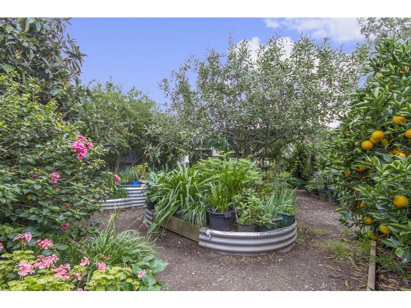 6 Davidson Rd, Elizabeth Vale SA 5112