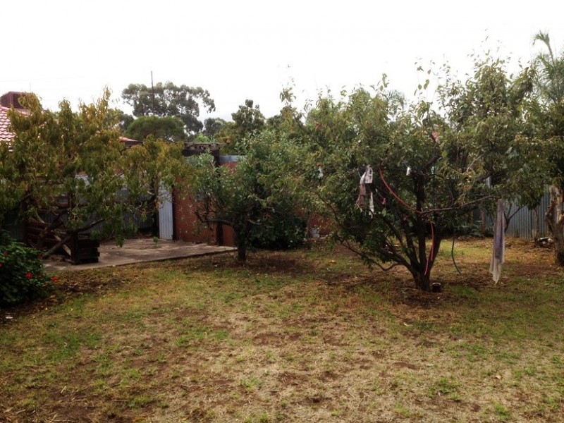 3 Walnut Ave, Parafield Gardens SA 5107