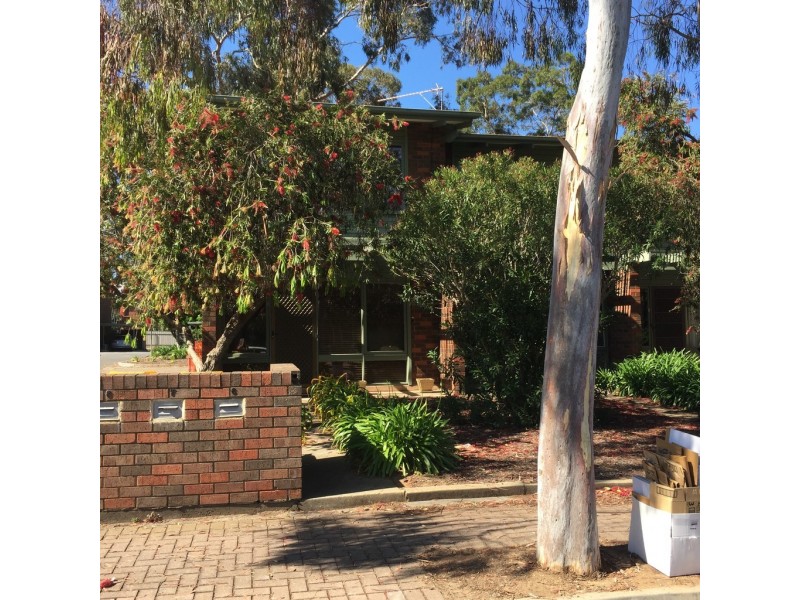 8/14-18 John Street, Payneham SA 5070