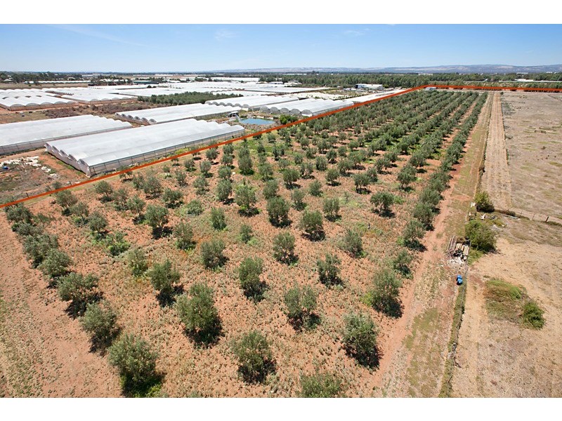 Lot 95 Taylors Road, Virginia SA 5120