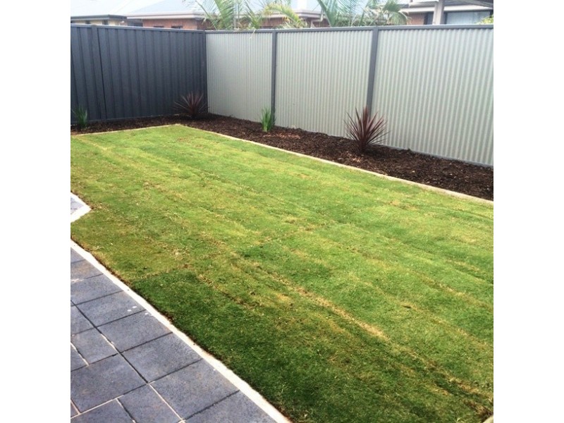 27 Tonkin Tce, Penfield SA 5121