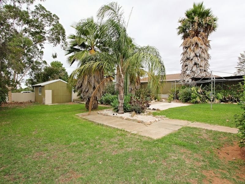 8 Chamberlain Drive, Willaston SA 5118