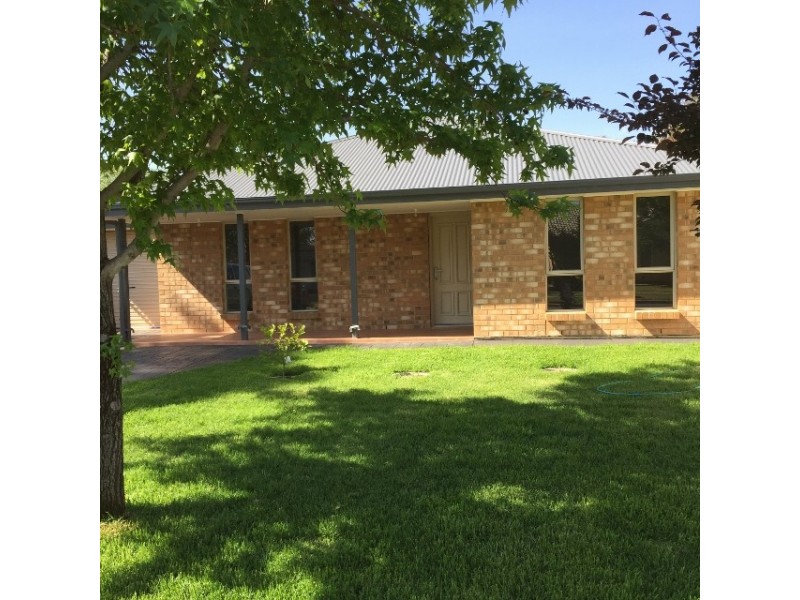 19 Carlow Street, Salisbury Downs SA 5108