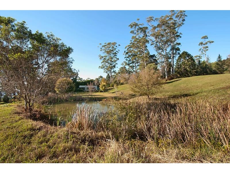 Lower Beechmont QLD 4211