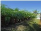 Merrimac QLD 4226