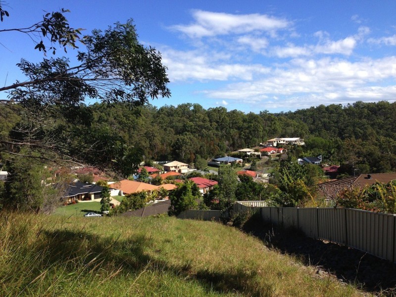 14 Coffeebush Court, Reedy Creek QLD 4227