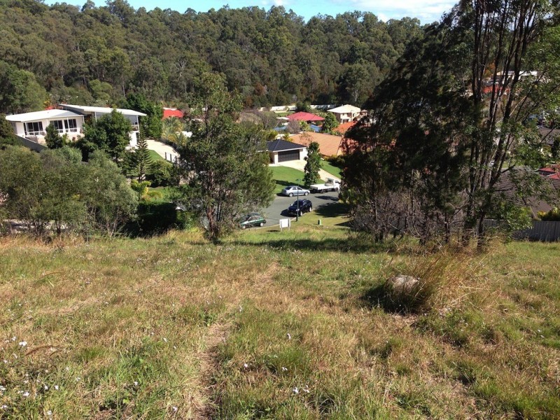 14 Coffeebush Court, Reedy Creek QLD 4227