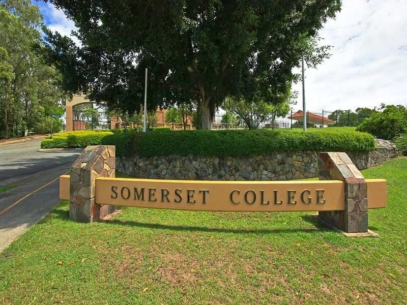 14 Coffeebush Court, Reedy Creek QLD 4227