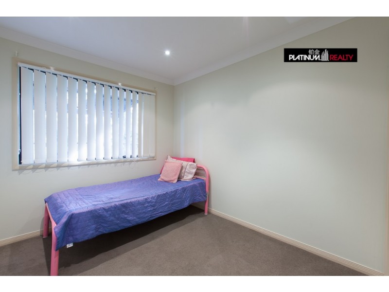 16 Ferngrove Avenue, Upper Coomera QLD 4209