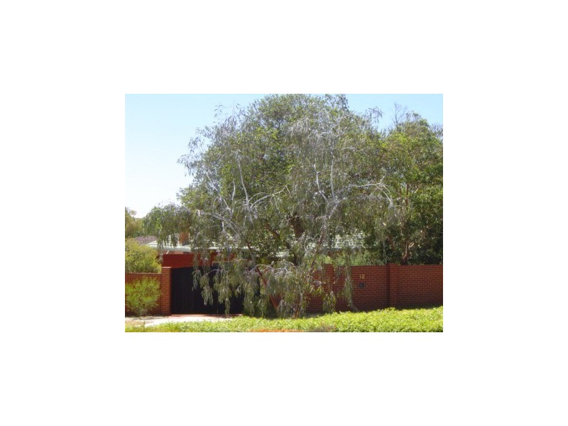 12 Mabel Street, Kensington WA 6151