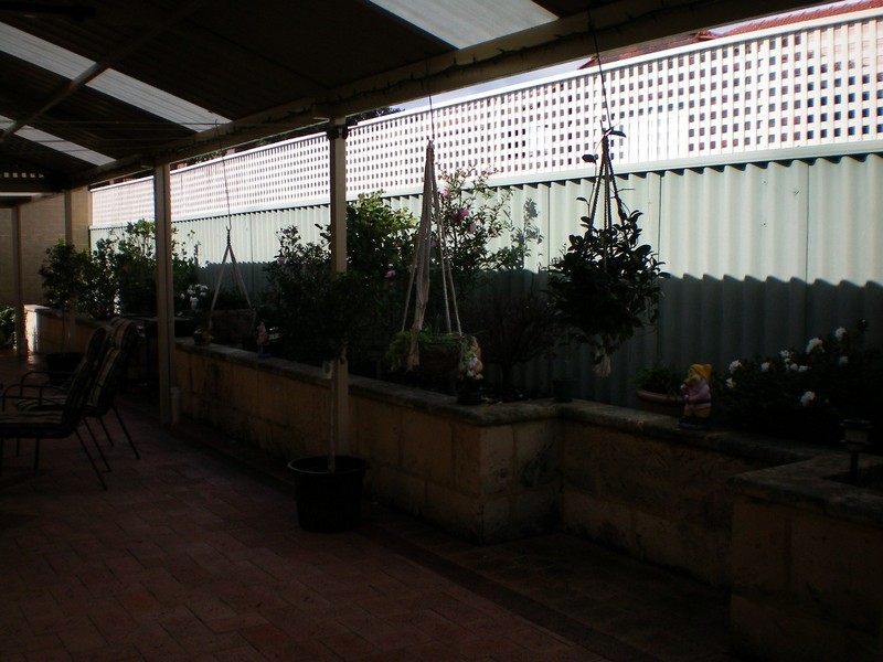 50 Ferndale Crescent, Ferndale WA 6148