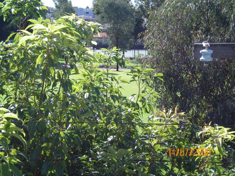 8/45 Stuart Street, Perth WA 6000