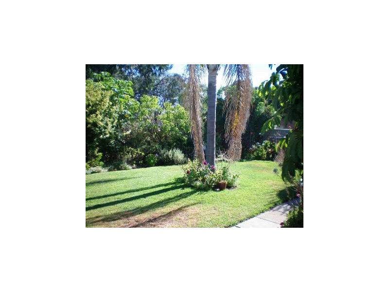 55 Campsbourne Street, Balcatta WA 6021