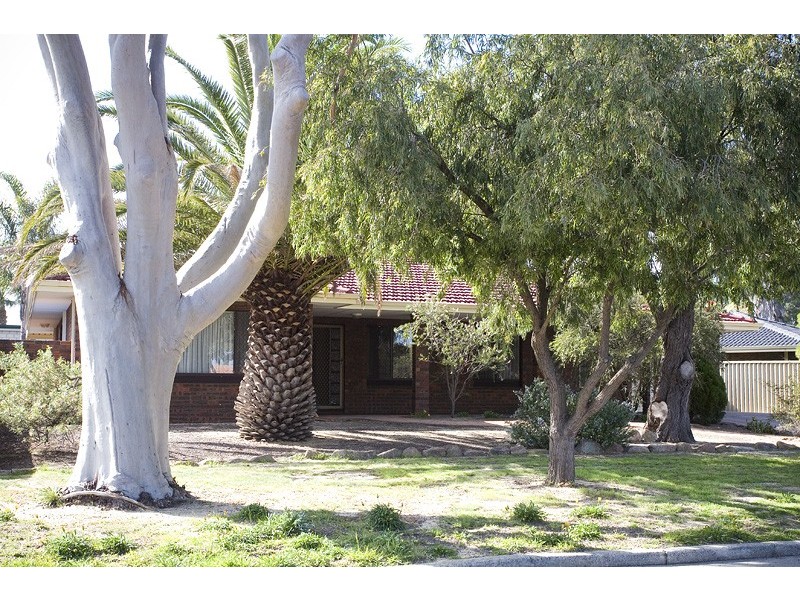 4 Hanrahan Loop, Kardinya WA 6163