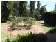 55 Lefroy Street, Beaconsfield WA 6162