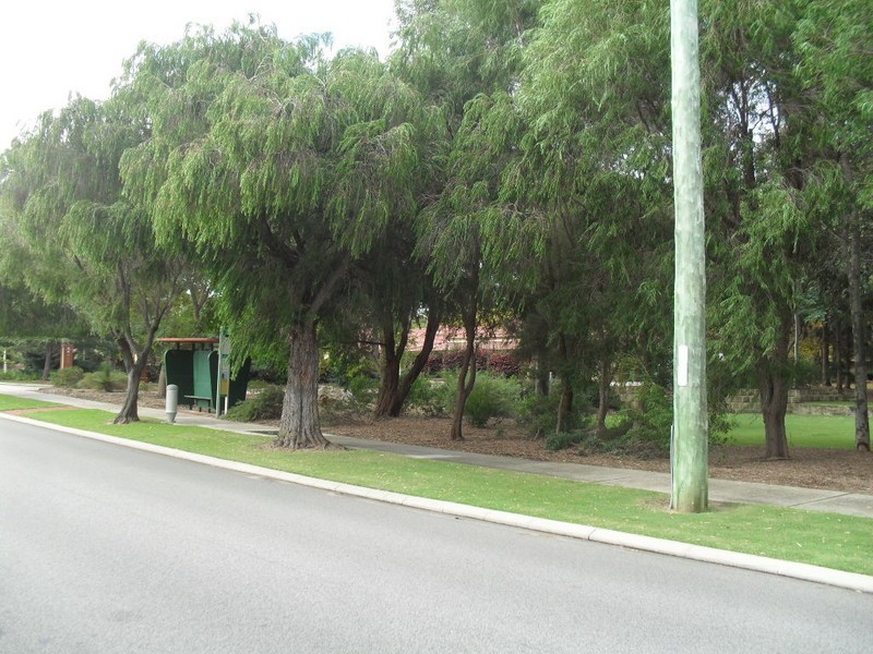 4/25 Morrison Street, Como WA 6152