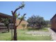 69 Errington Road, St Albans VIC 3021