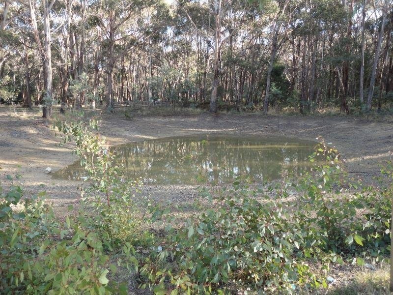 145 Gays Road, Wheatsheaf VIC 3461