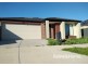 12 LUSTER CRESCENT, Tarneit VIC 3029