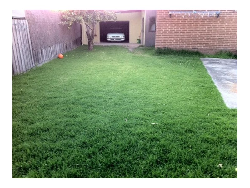 24 Diamond Avenue, Albanvale VIC 3021