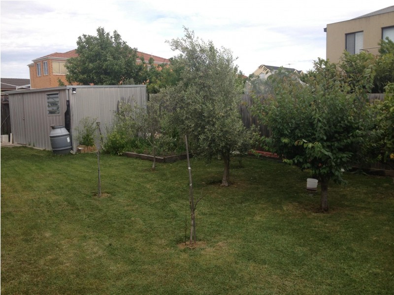 16 Ruthven Close, Hillside VIC 3037