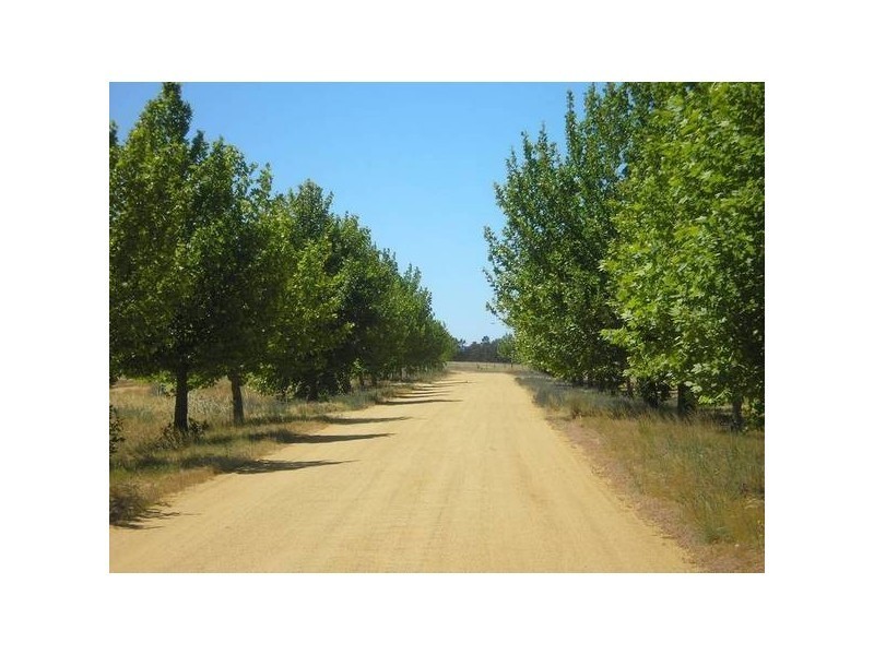 Lot 20 Mulumbah Road, Deniliquin NSW 2710