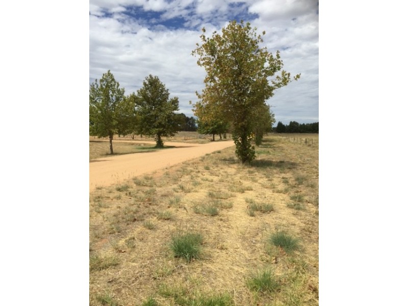 Lot 20 Mulumbah Road, Deniliquin NSW 2710