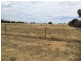 Lot 20 Mulumbah Road, Deniliquin NSW 2710